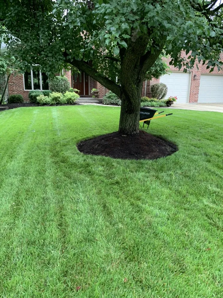 Local yard maintenance for residential properties across West Chicago, IL - Solis Landscaping