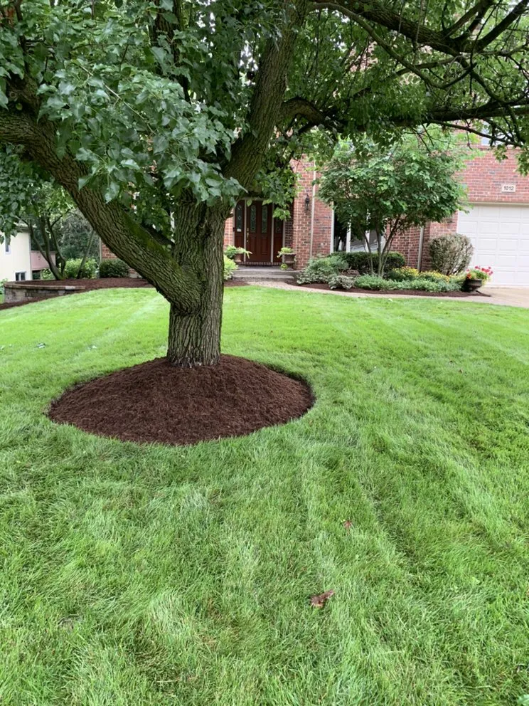 Local outdoor landscaping for outdoor upgrades in West Chicago, IL by Solis Landscaping