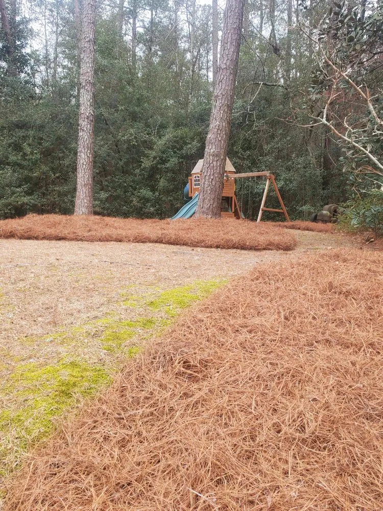 Custom lawn mowing service near you in Louisville, GA by Solis Lawn Care