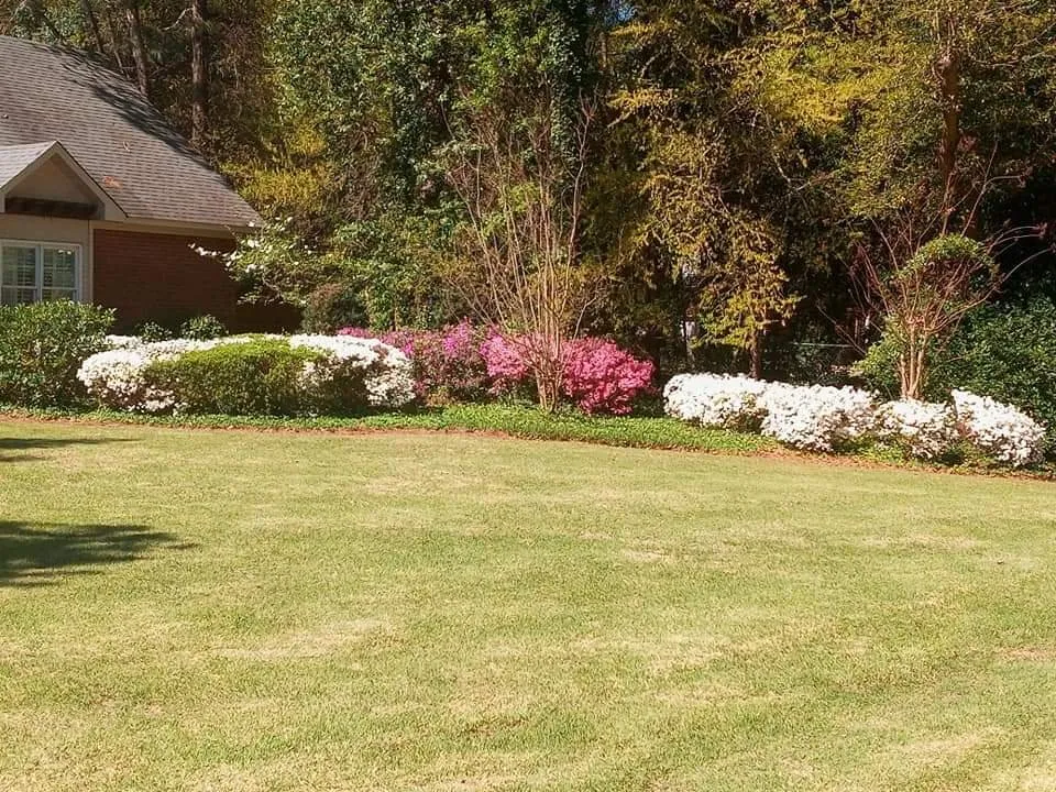 Top-rated lawn care service in Louisville, GA - Solis Lawn Care