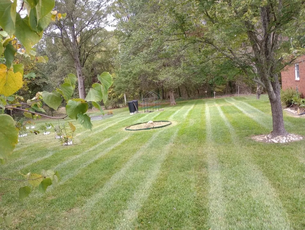 Local yard maintenance in Rock Hill, SC by Solis Lawn Care