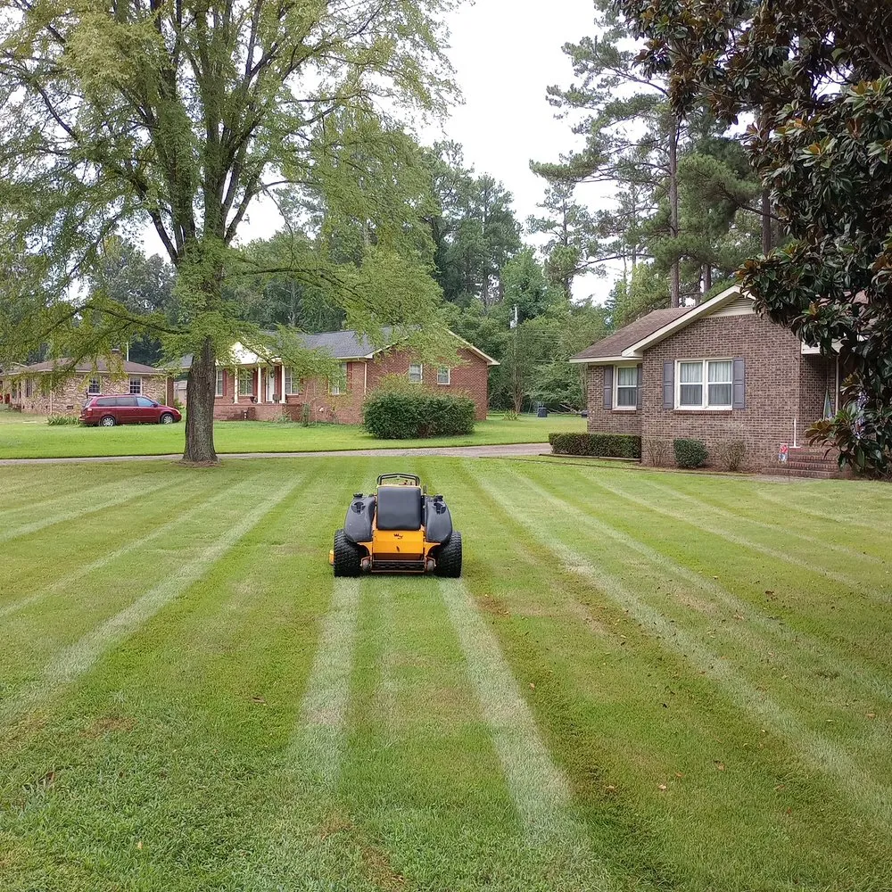 Local yard cleanup service in Rock Hill, SC by Solis Lawn Care