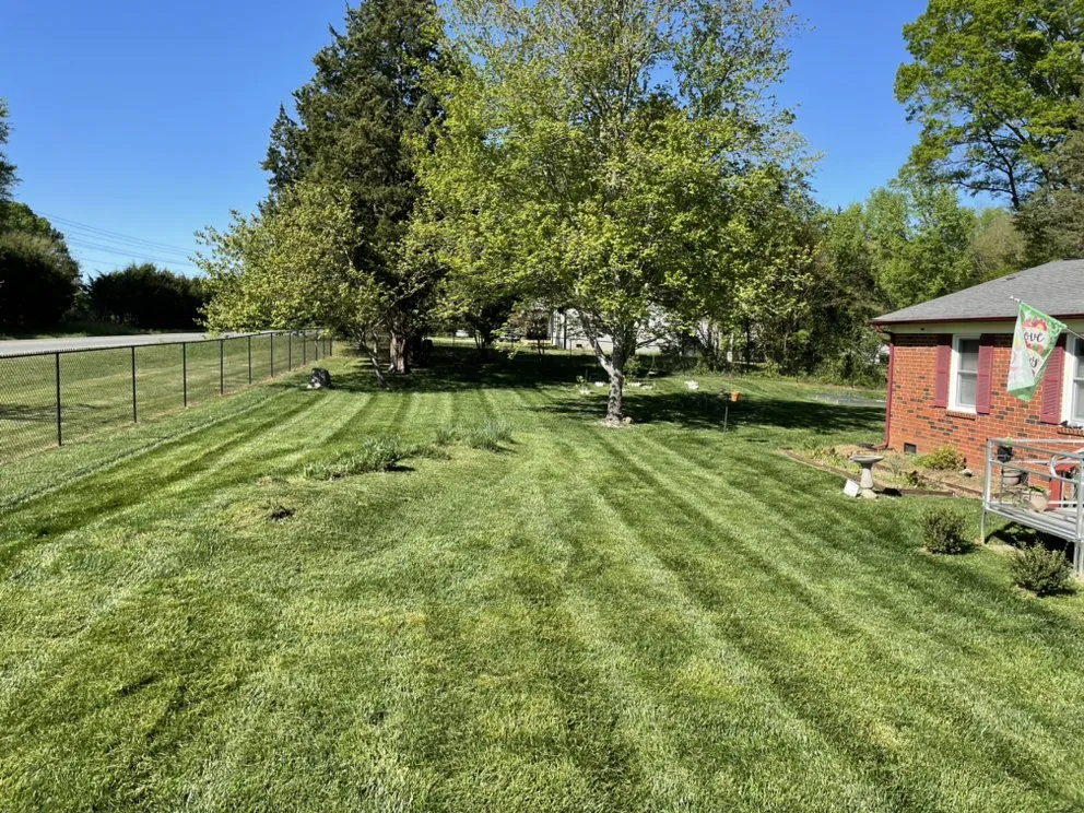 Custom yard cleanup service in Rock Hill, SC - Solis Lawn Care