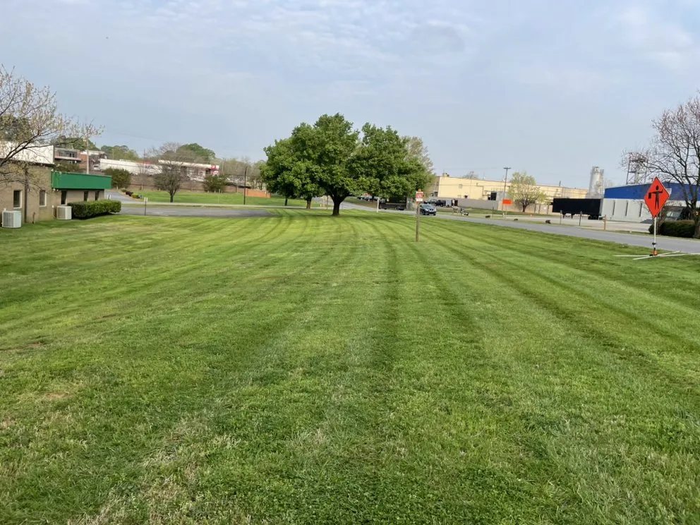 Affordable lawn mowing service experts serving Rock Hill, SC - Solis Lawn Care