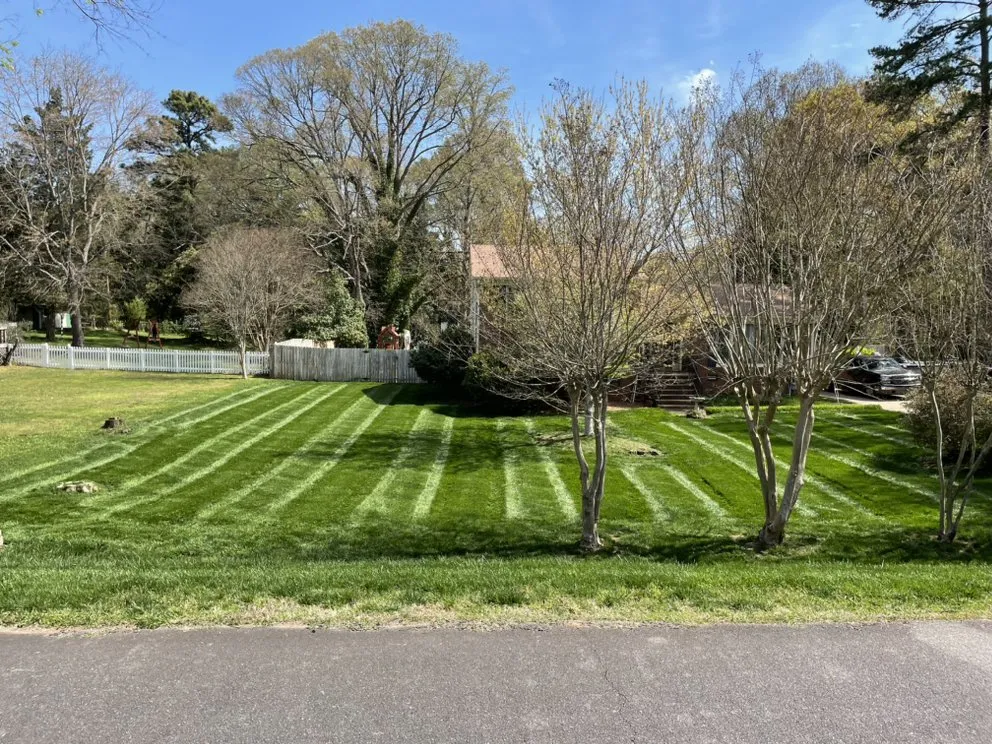 Affordable lawn care service for outdoor upgrades in Rock Hill, SC by Solis Lawn Care