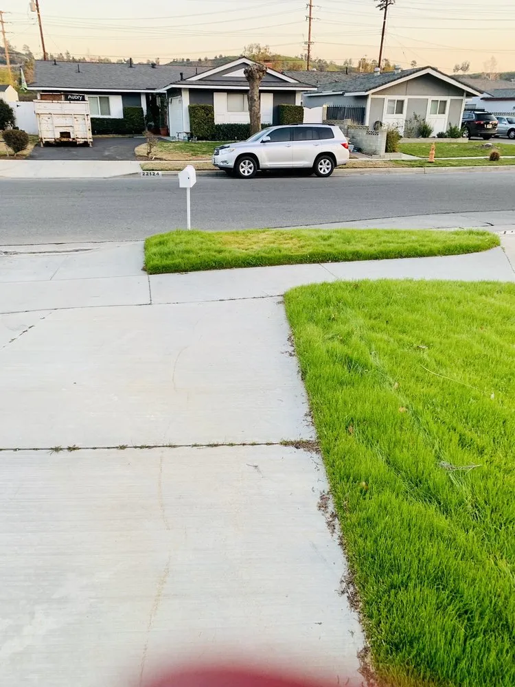 Top-rated landscape installation experts serving Santa Clarita, CA - Solis Tree Service & Landscape