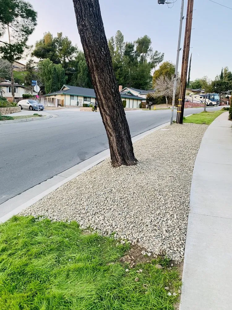 Professional landscape installation in Santa Clarita, CA by Solis Tree Service & Landscape