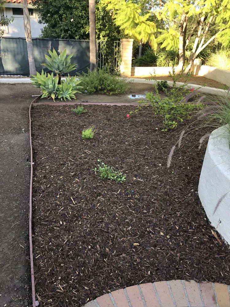 Top-rated landscape design experts serving Santa Clarita, CA - Solis Tree Service & Landscape