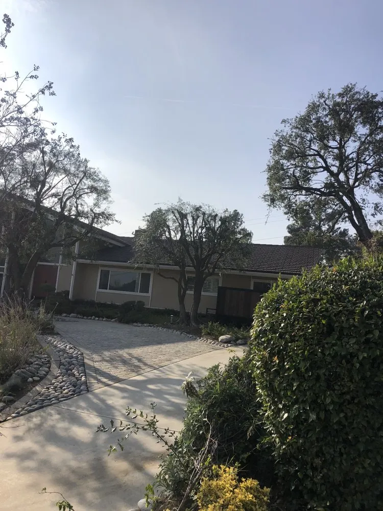 Reliable yard cleanup service experts serving Santa Clarita, CA - Solis Tree Service & Landscape