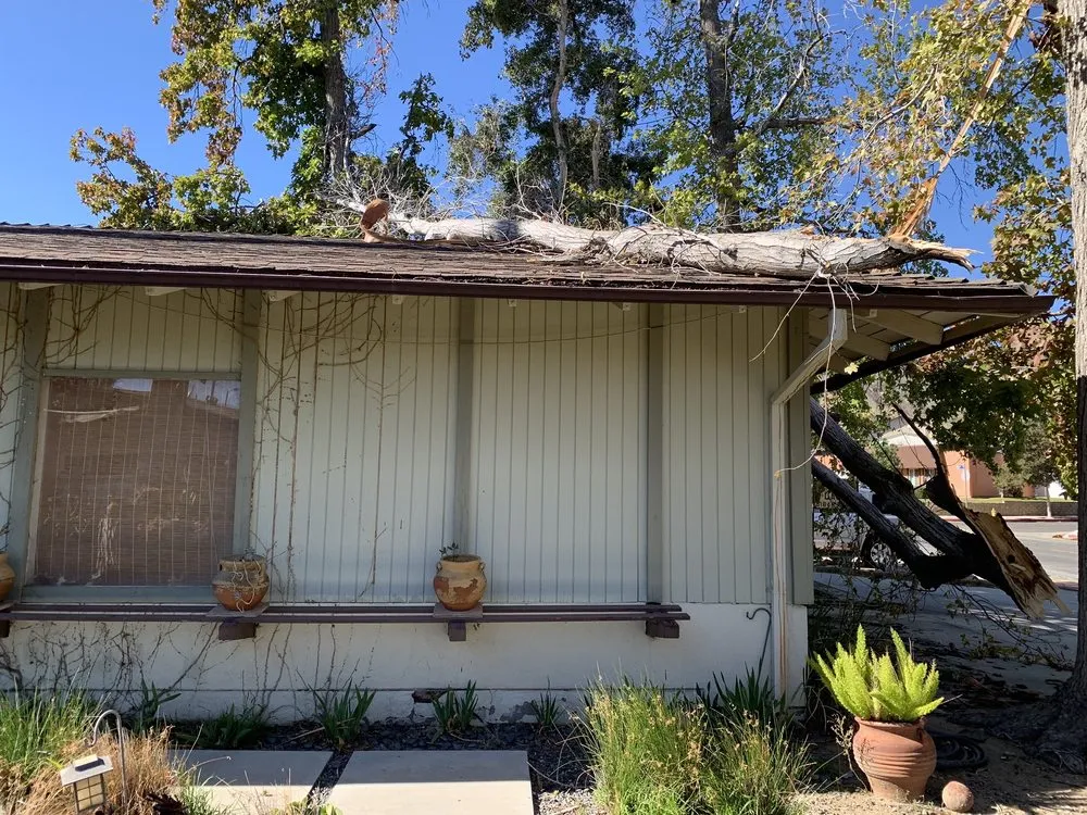 Expert yard maintenance in Santa Clarita, CA by Solis Tree Service & Landscape