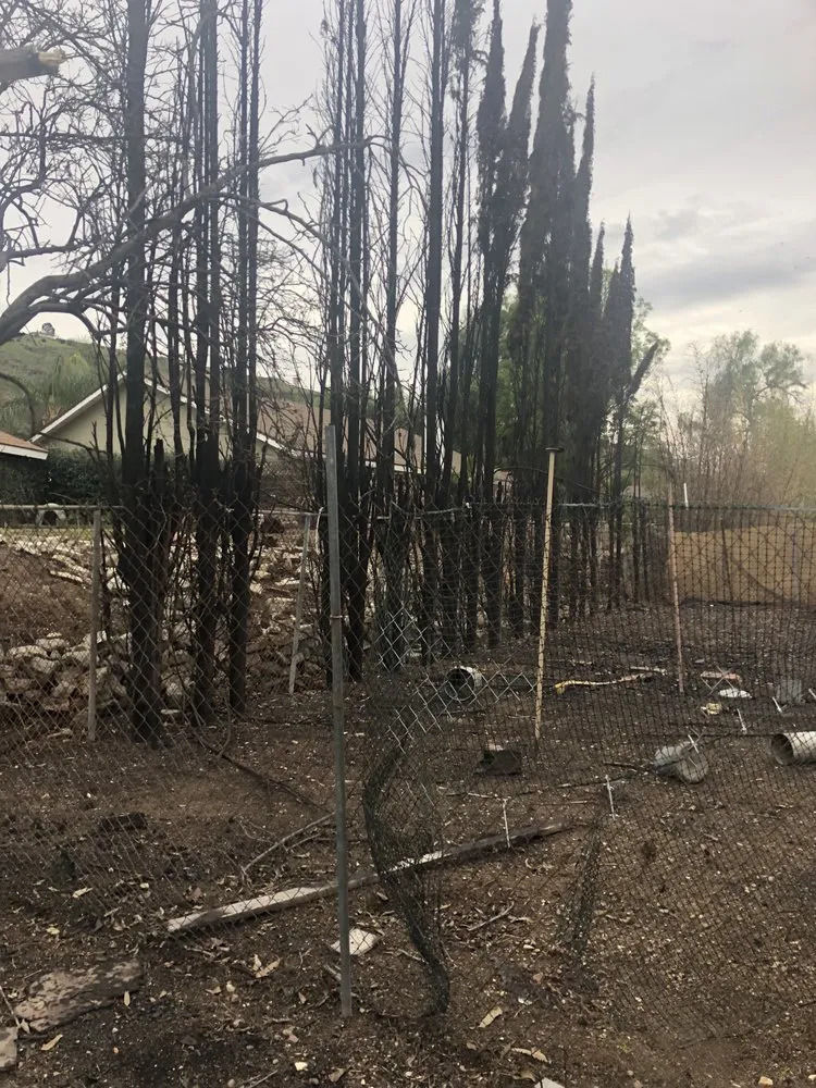 Affordable landscape design with custom design in Santa Clarita, CA by Solis Tree Service & Landscape