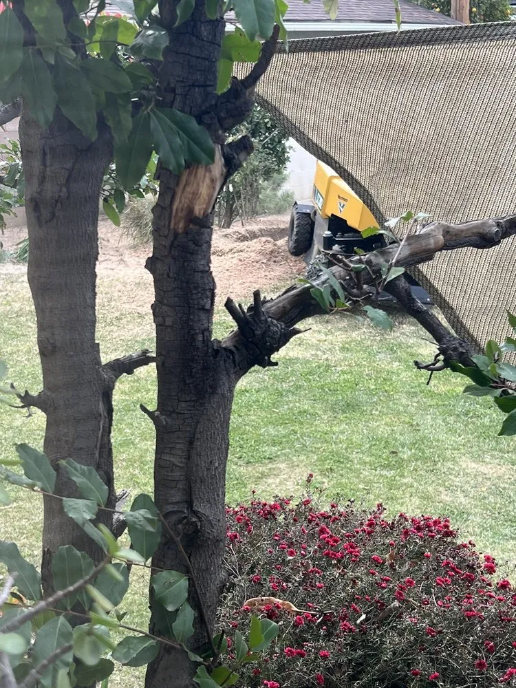 Professional residential landscaping for residential properties across Santa Clarita, CA - Solis Tree Service & Landscape