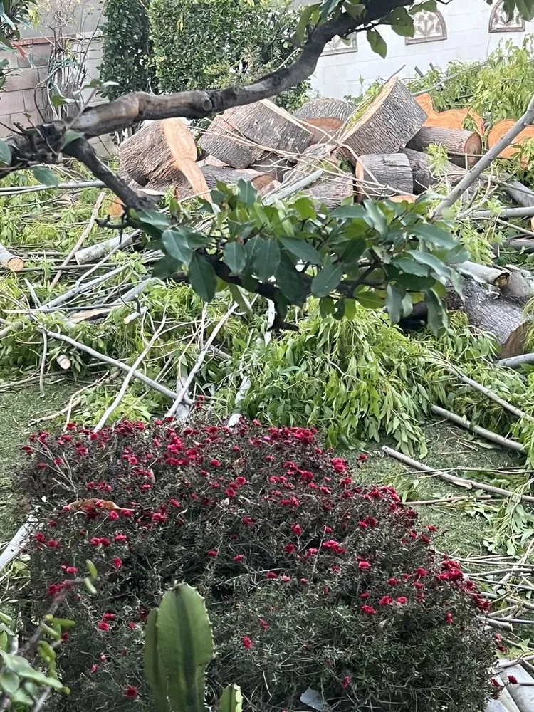 Reliable landscaping services experts serving Santa Clarita, CA - Solis Tree Service & Landscape