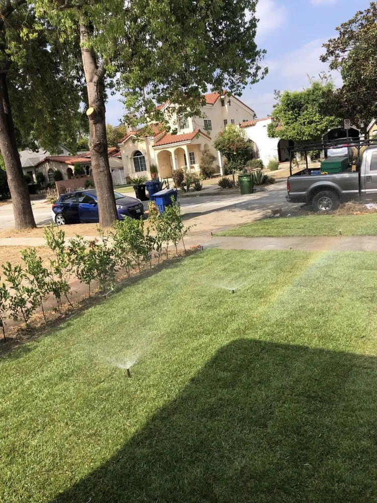 Expert lawn care service experts serving Santa Clarita, CA - Solis Tree Service & Landscape
