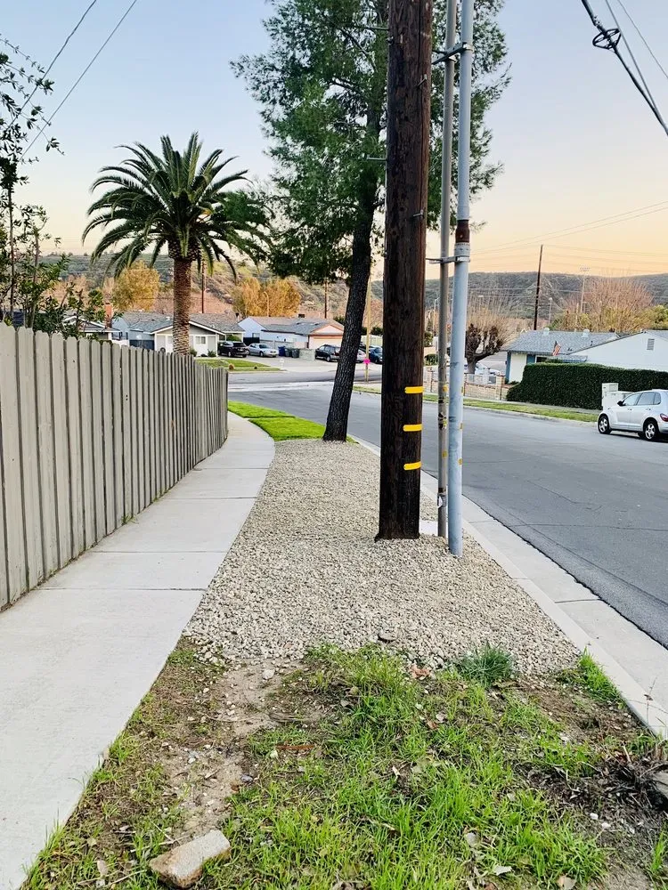 Affordable yard cleanup service in Santa Clarita, CA by Solis Tree Service & Landscape