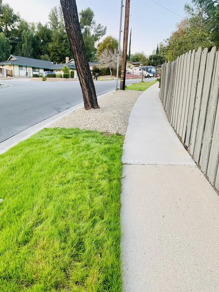 Expert landscaping services in Santa Clarita, CA - Solis Tree Service & Landscape