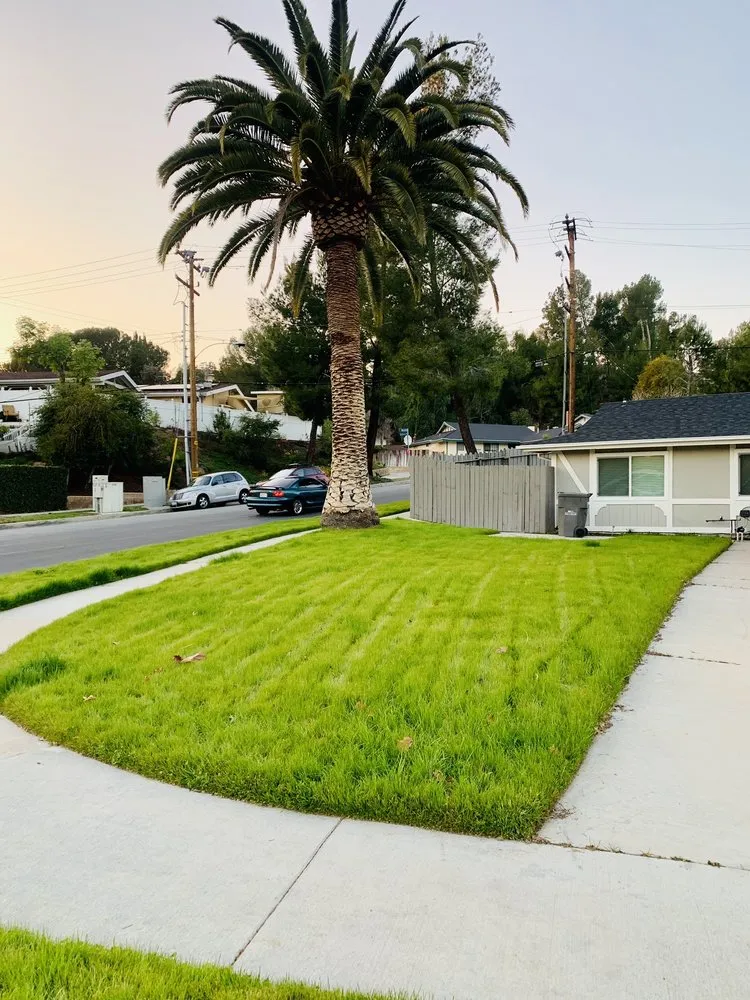 Custom landscape design in Santa Clarita, CA - Solis Tree Service & Landscape