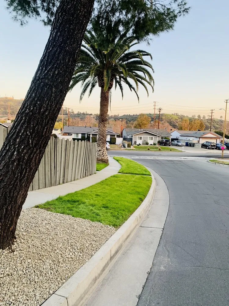 Top-rated outdoor landscaping in Santa Clarita, CA by Solis Tree Service