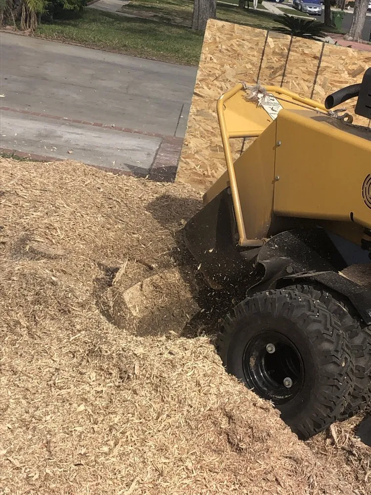 Affordable landscape installation in Santa Clarita, CA by Solis Tree Service