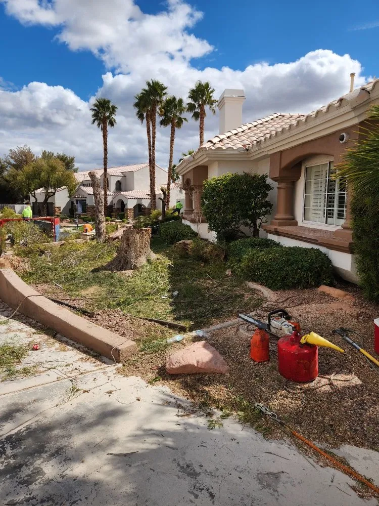 Custom lawn care service in Las Vegas, NV by Solis Tree Services & Landscaping