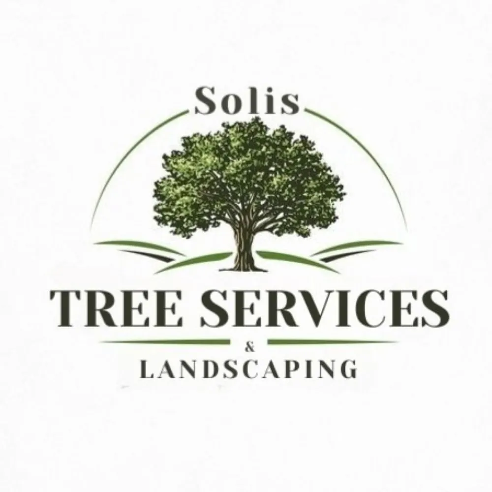 Affordable landscaping services for homes in Las Vegas, NV by Solis Tree Services & Landscaping