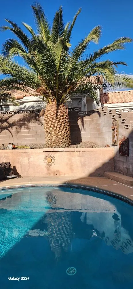 Reliable yard maintenance experts serving Las Vegas, NV - Solis Tree Services & Landscaping