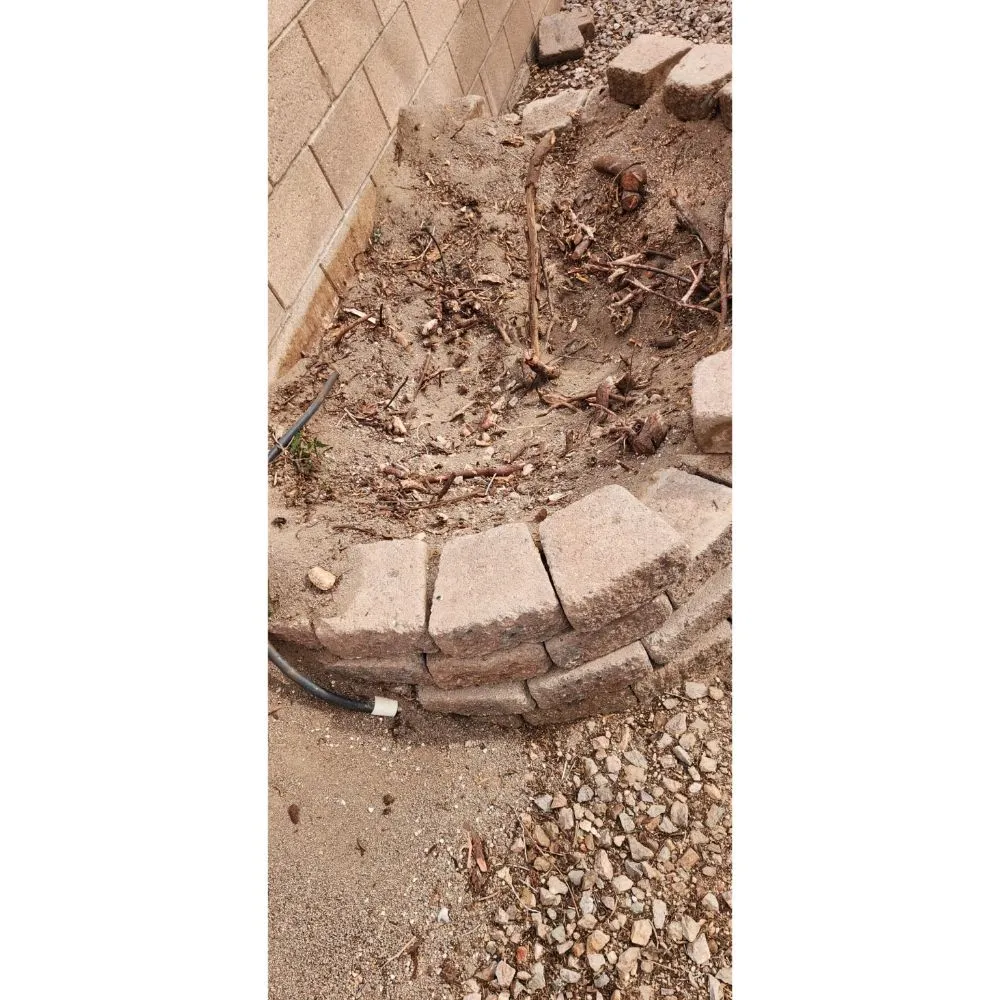 Affordable yard maintenance experts serving Las Vegas, NV - Solis Tree Services & Landscaping