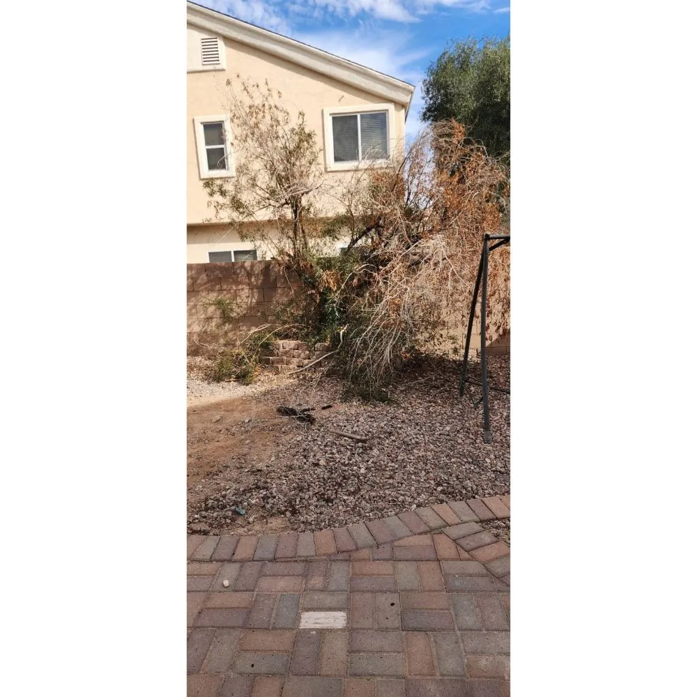 Reliable outdoor landscaping in Las Vegas, NV - Solis Tree Services & Landscaping