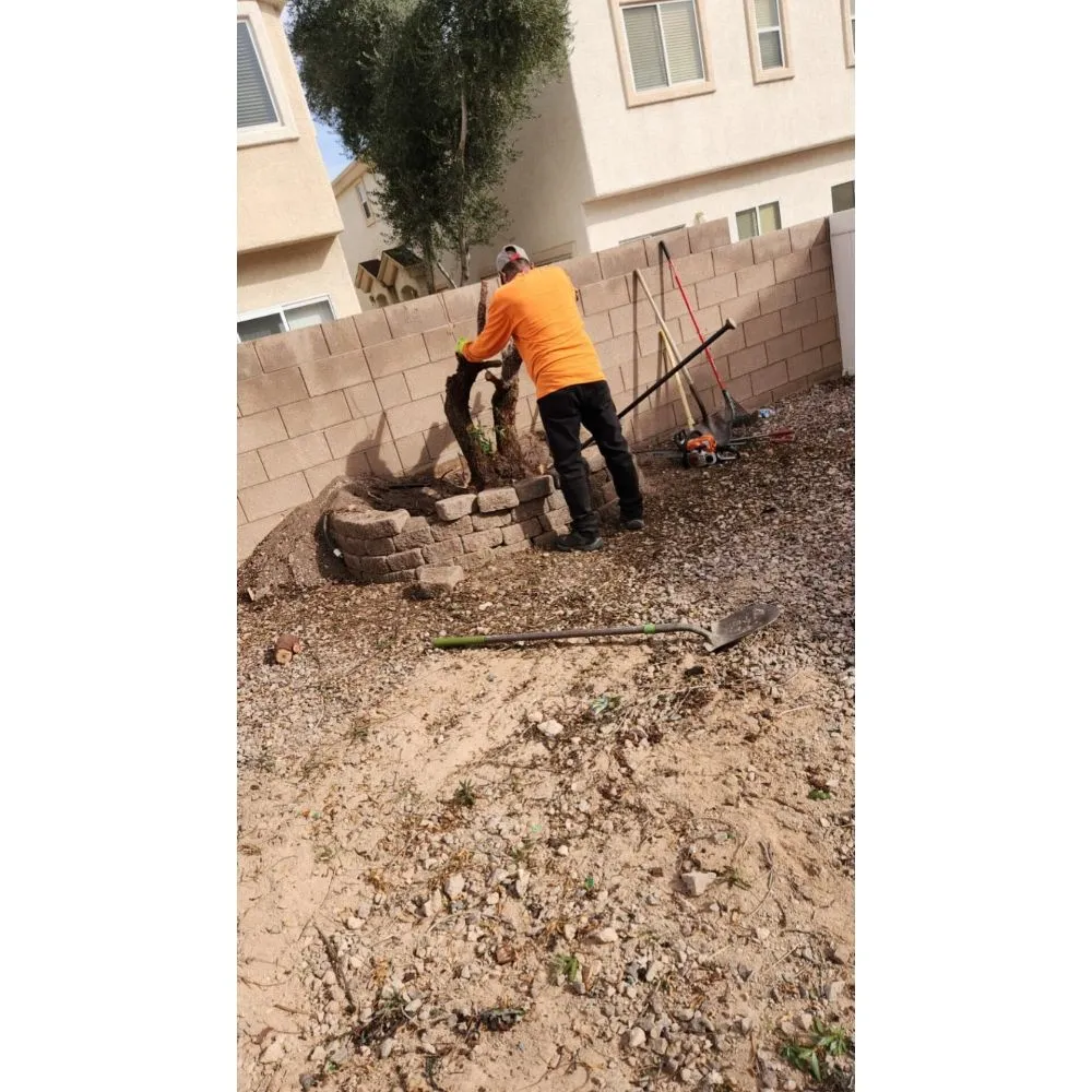 Custom lawn care service with custom design in Las Vegas, NV by Solis Tree Services & Landscaping