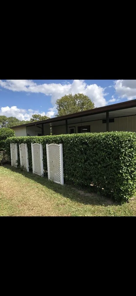 Reliable residential landscaping in Spring Hill, FL by Sollazzo’s Landscaping