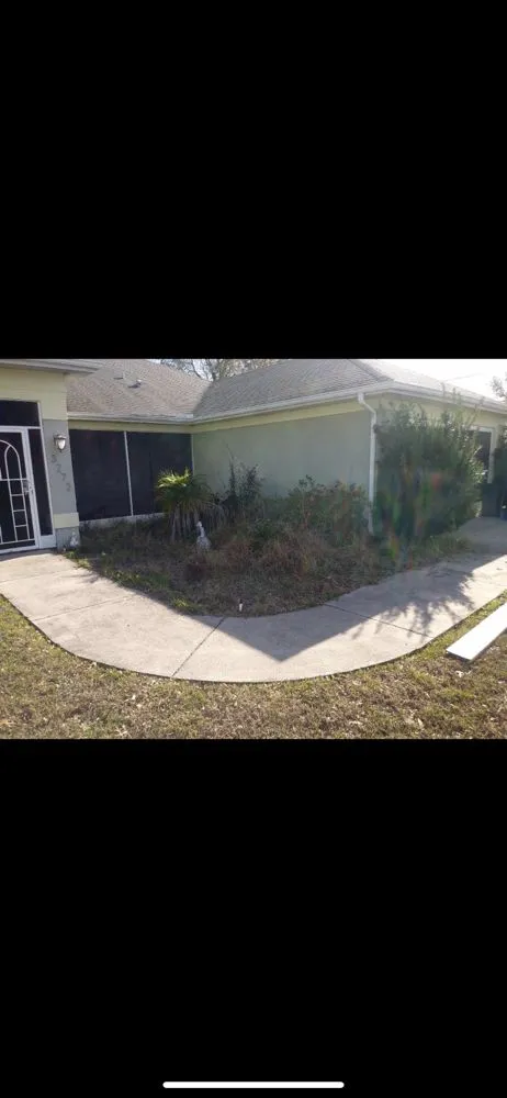 Affordable residential landscaping for outdoor upgrades across Spring Hill, FL - Sollazzo’s Landscaping