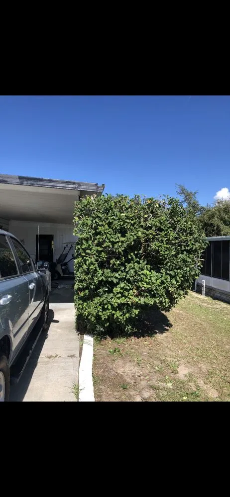 Reliable garden landscaping for beautiful yards in Spring Hill, FL by Sollazzo’s Landscaping