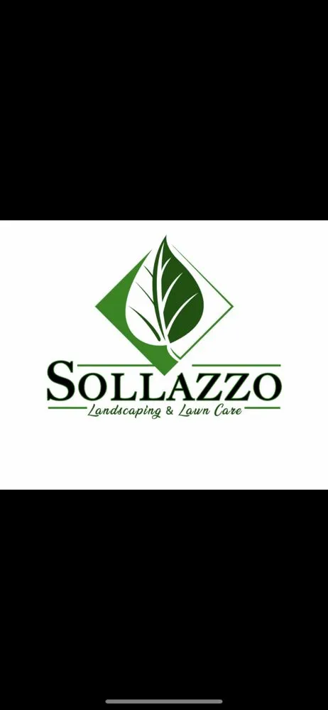 Expert garden landscaping for outdoor upgrades across Spring Hill, FL - Sollazzo’s Landscaping