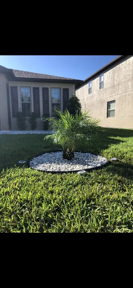 Local yard maintenance in Spring Hill, FL - Sollazzo’s Landscaping