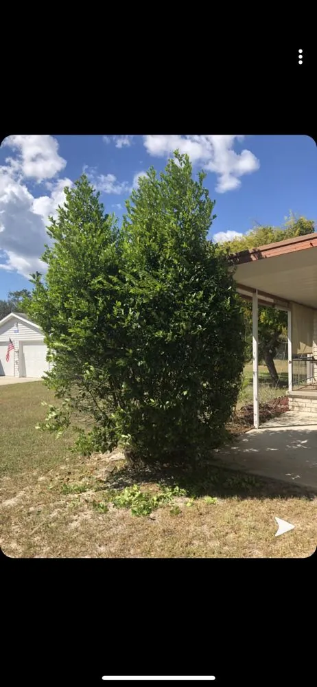 Affordable landscape installation with custom design in Spring Hill, FL by Sollazzo’s Landscaping