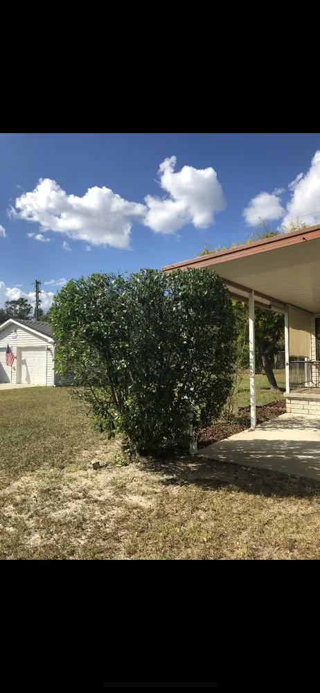 Expert outdoor landscaping for residential properties in Spring Hill, FL by Sollazzo’s Landscaping