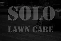 Affordable landscape installation for year-round maintenance in Davenport, FL by Solo