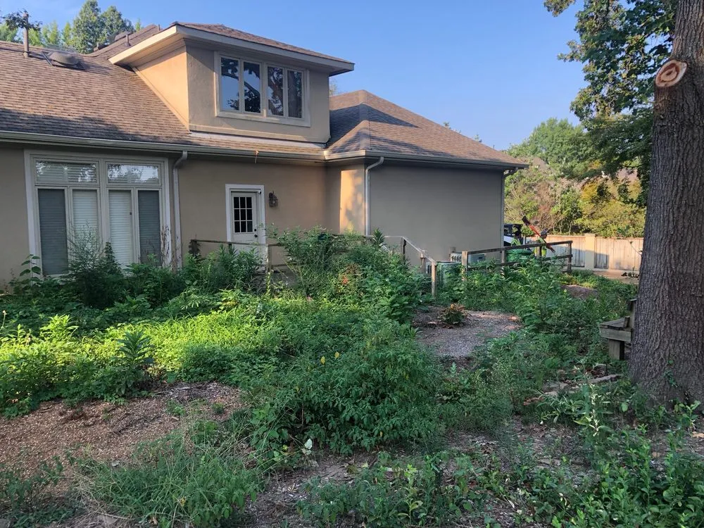 Expert yard cleanup service for homes in Germantown, TN by Solo Landscape