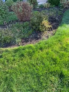 Expert landscape installation for beautiful yards across Aurora, IL - Solo Landscaping