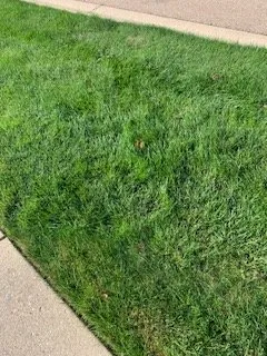 Professional landscaping services for year-round maintenance in Aurora, IL by Solo Landscaping