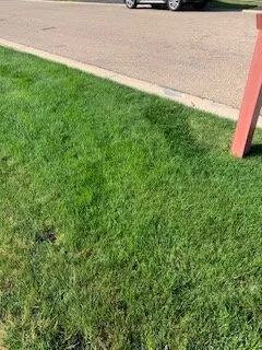 Affordable lawn mowing service in Aurora, IL by Solo Landscaping