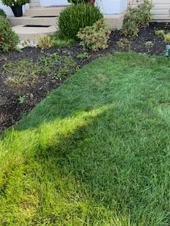 Reliable residential landscaping experts serving Aurora, IL - Solo Landscaping