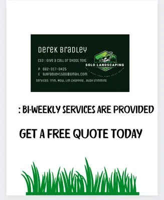 Solo Landscaping Logo