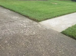 Top-rated yard cleanup service experts serving Greensboro, NC - Solo Lawn Care