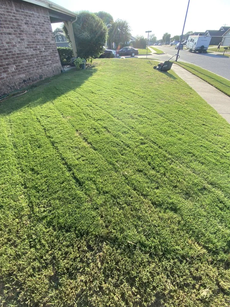 Local garden landscaping for year-round maintenance across Collinsville, OK - Solo lawns