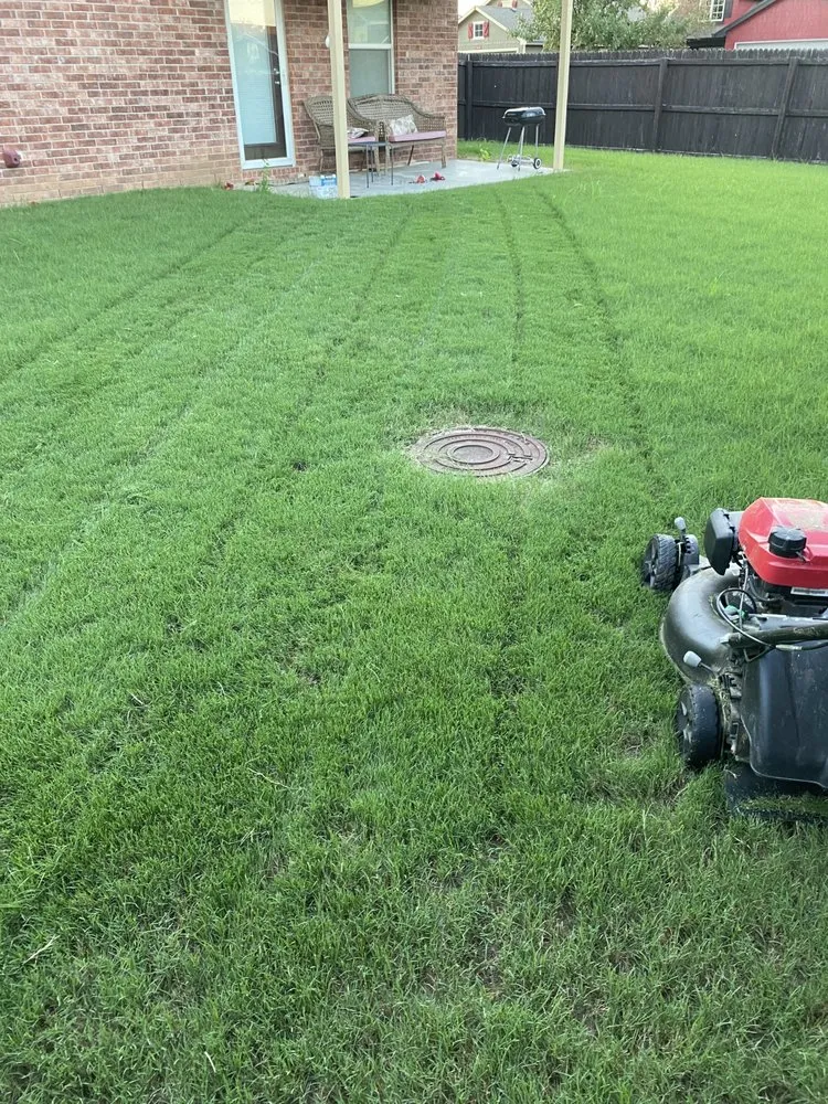 Expert yard cleanup service for residential properties in Collinsville, OK by Solo lawns