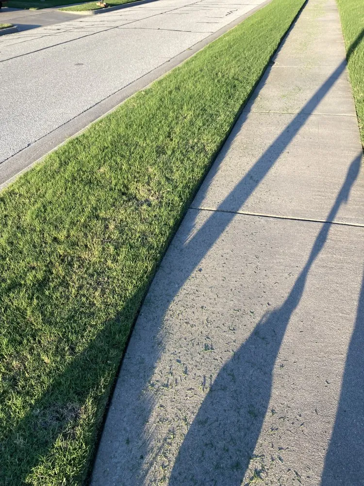 Custom yard cleanup service for outdoor upgrades across Collinsville, OK - Solo lawns