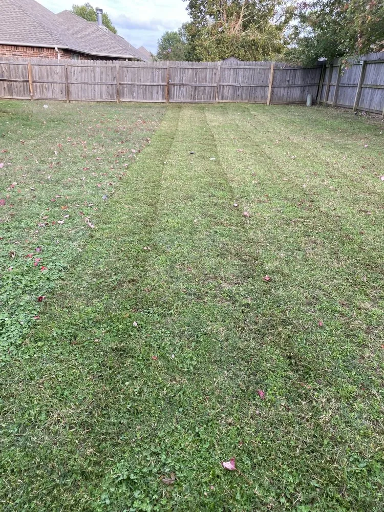 Reliable lawn mowing service for year-round maintenance across Collinsville, OK - Solo lawns