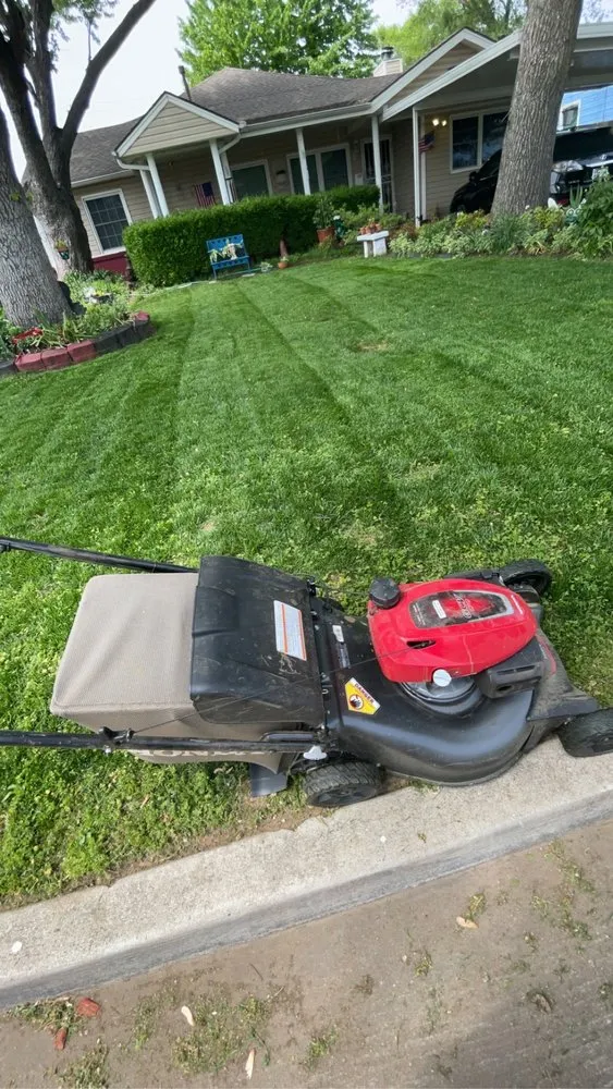 Affordable yard cleanup service in Collinsville, OK - Solo lawns