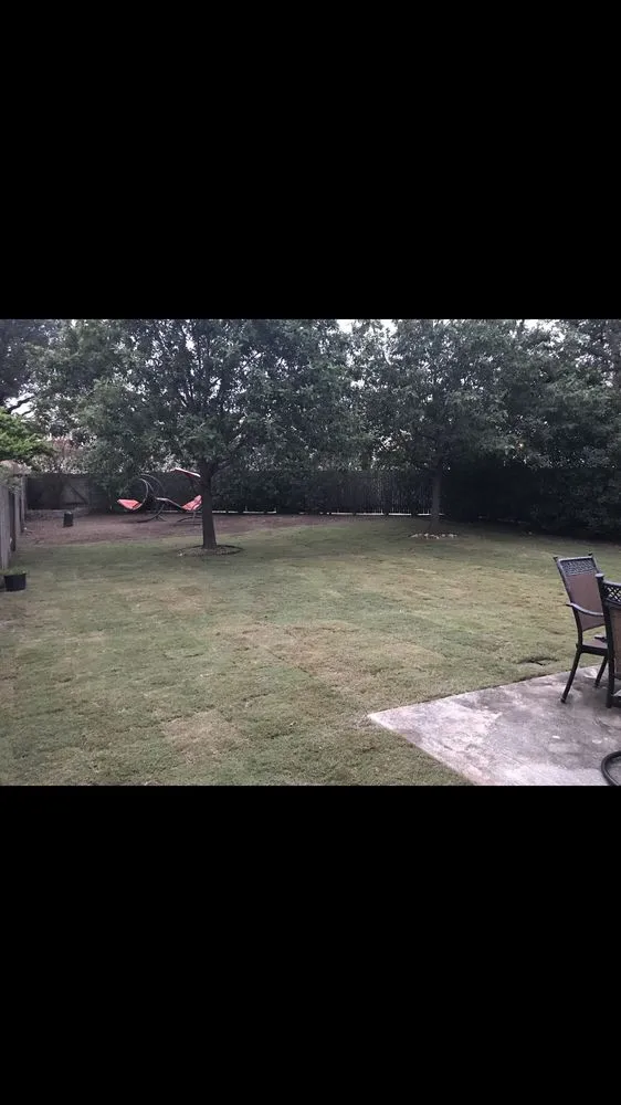 Trusted outdoor landscaping for year-round maintenance across San Antonio, TX - Solo Property Services